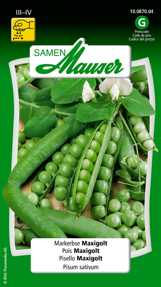 Pois Maxigolt Semences de legumes Samen Mauser 650110201000 Contenu 80 g (env. 6 - 7 m²) Photo no. 1