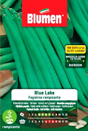 Fagiolo Runner LAGO BLU