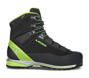 Alpine Pro GTX LE