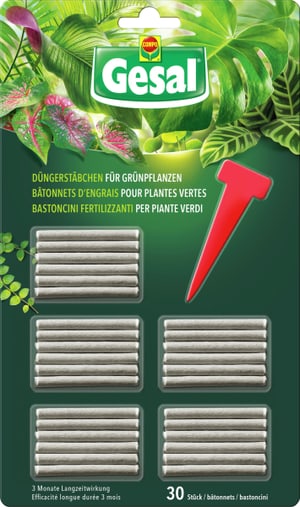 Bastoncini fertilizzanti per piante verdi, 30 pezzi