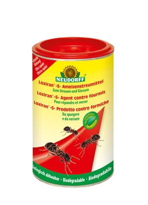 Loxiran -S- Prodotto contro formiche, 100 g