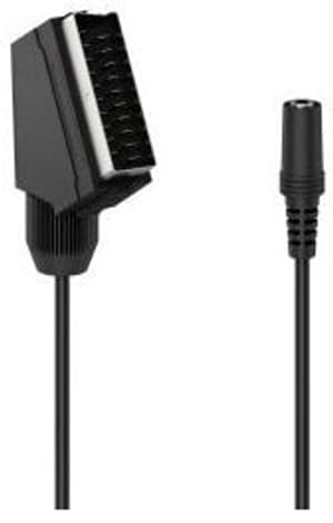 Spina Scart - presa jack 3,5 mm stereo