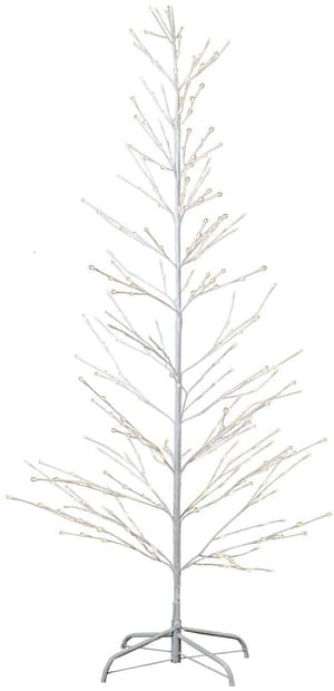 Baum Issac, 210 cm, 348 LEDs, Weiss