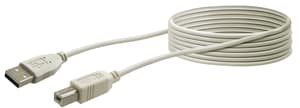 Cable USB 2.0 5m gris, USB 2.0 typeA / USB 2.0 typeB