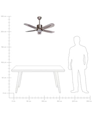 Deckenventilator mit Licht silber COYOTE