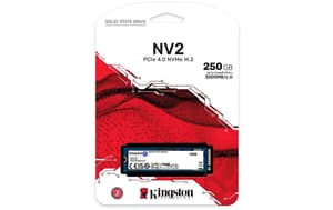NV2 M.2 2280 NVMe 250 GB