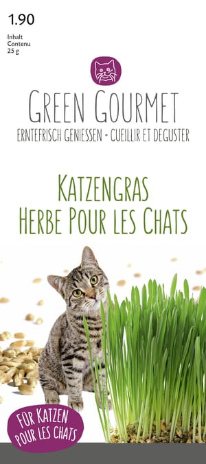Herbe pour les chats 25g Greem Gourmet