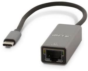 USB-C(m) to GigEth(f) adapt, grigio