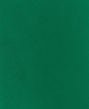 Qualité feutre vert, 20x30cm x 1mm