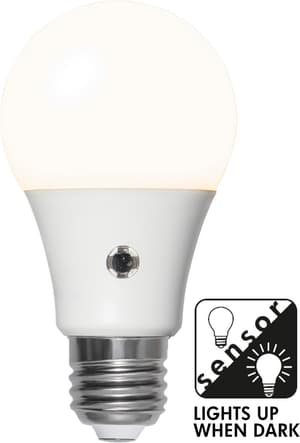 Ampoule LED E27 A60 Capteur opaque