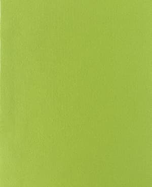 Qualité feutre vert clair, 20x30cm x 1mm