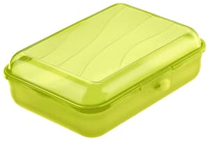 FUN Lunchbox