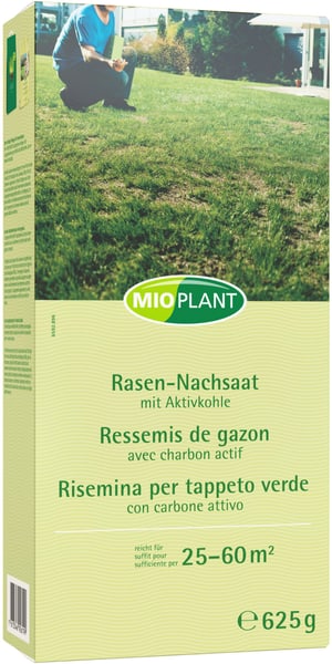 Rasen-Nachsaat, 25 - 60 m2