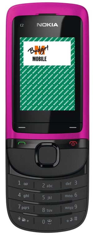 Budget Phone 43 Nokia C2-05