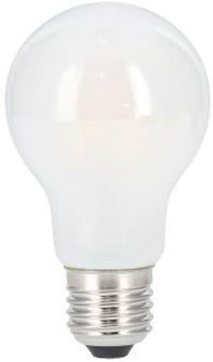 Filamento LED, E27, 470lm sostituisce 40W, lampada a incandescenza, opaco, luce del giorno