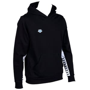 Arena Icons Hooded Sweat Solid