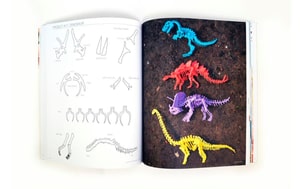 Progetto libro 3D Penne bianche