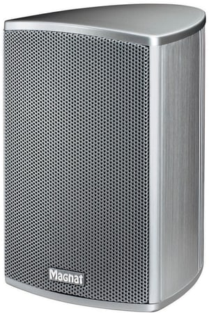 Needle Alu Sat (1 Paar) - Silber