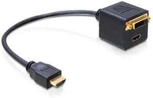 HDMI - DVI-D/HDMI