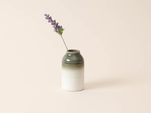 Mini vase avec dégradé de couleurs