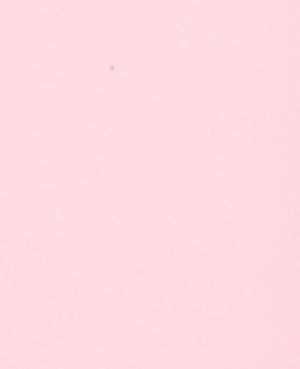 Gomma muschio 30 x 40 cm, rosa chiaro