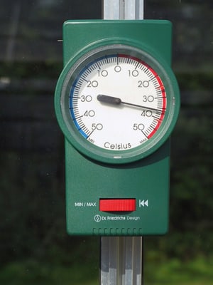 VITAVIA Thermometer