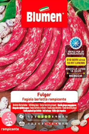Fagiolo asparago BORLOTTI FULGOR