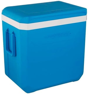 Kühlbox Icetime Plus 42L
