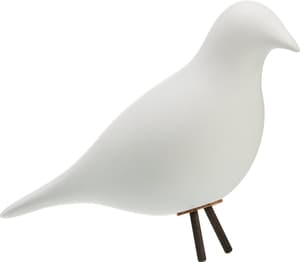 SAMANTHA Oiseau