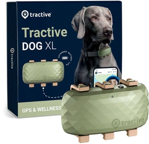 GPS-Tracker DOG XL
