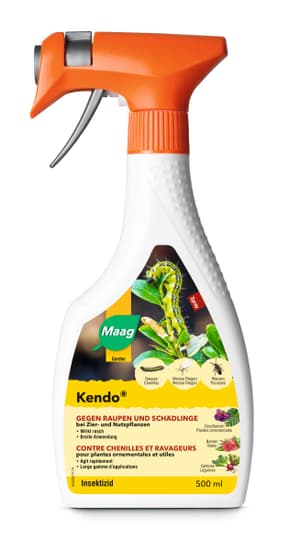 Kendo Spray, 500 ml