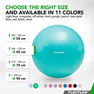 Tunturi Gym Ball - Balle de fitness indéchirable ABS 65 cm turquoise