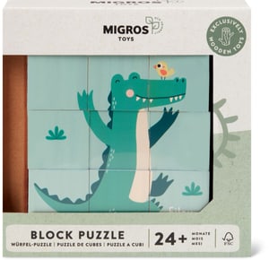 Migros Toys Minimates Block Puz.