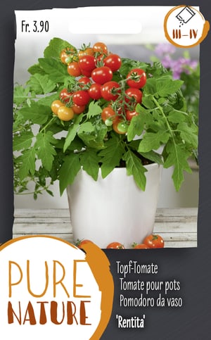 Tomate Rentita , tomate pour pots 0.25g