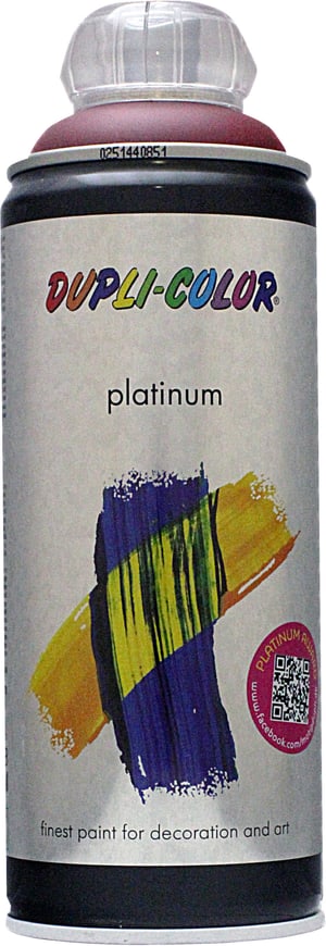 Peinture en aérosol Platinum mat