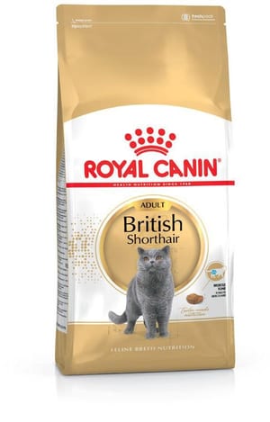 British Shorthair Adult, 0.4 kg