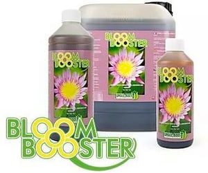 Bloom Booster da Jungle 5 litri