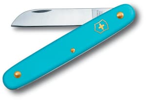 Couteau à fleurs 55mm bleu clair
