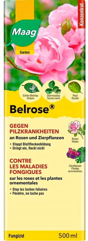 Belrose malattie fungine 500 ml