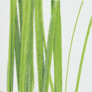 Seagrass Green