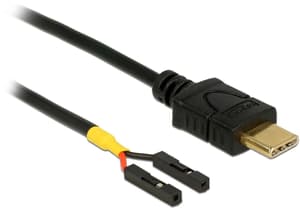 Câble d'alimentation USB 2x poteau femelle USB C - Pinheader 0.5 m