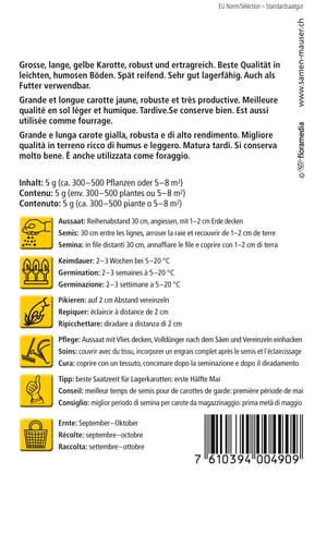 Carota del Palatinato