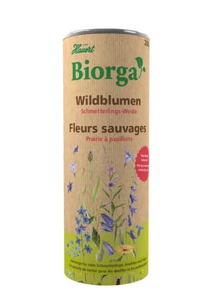 Biorga Wildblumen Schmetterlingsweide