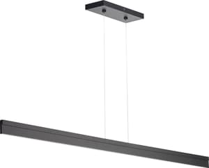 LINEA