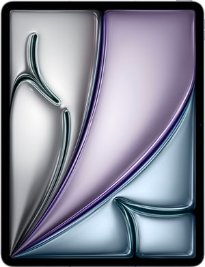 iPad Air 13" M2 Cellular 2024 1000 GB gris sidéral