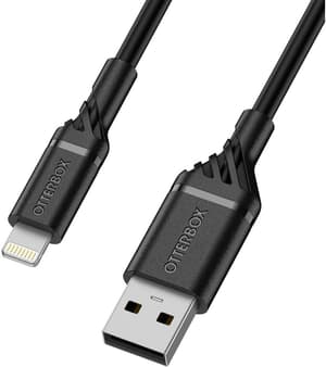Câble chargeur USB Lightning - USB A 1 m