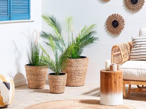 Set di 3 vasi per piante giacinto d'acqua naturale PLAKA