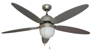 Deckenventilator: leise + kraftvoll | Do it + Garden MIGROS