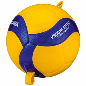 Volleyball V300WATTR