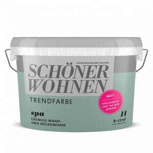 Trendfarbe Matt  Spa 1 l